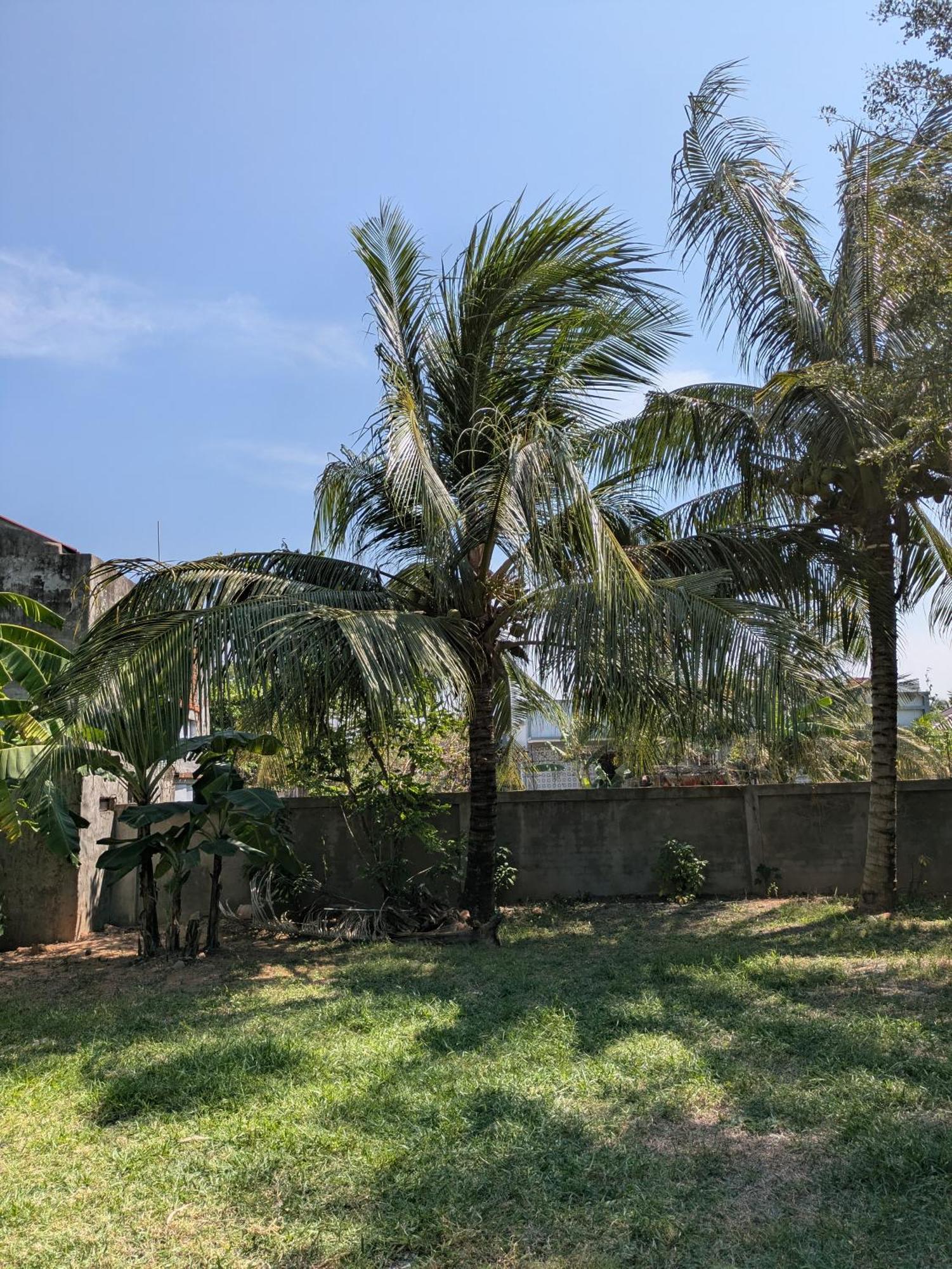 Coconut Lodge كامبوت المظهر الخارجي الصورة