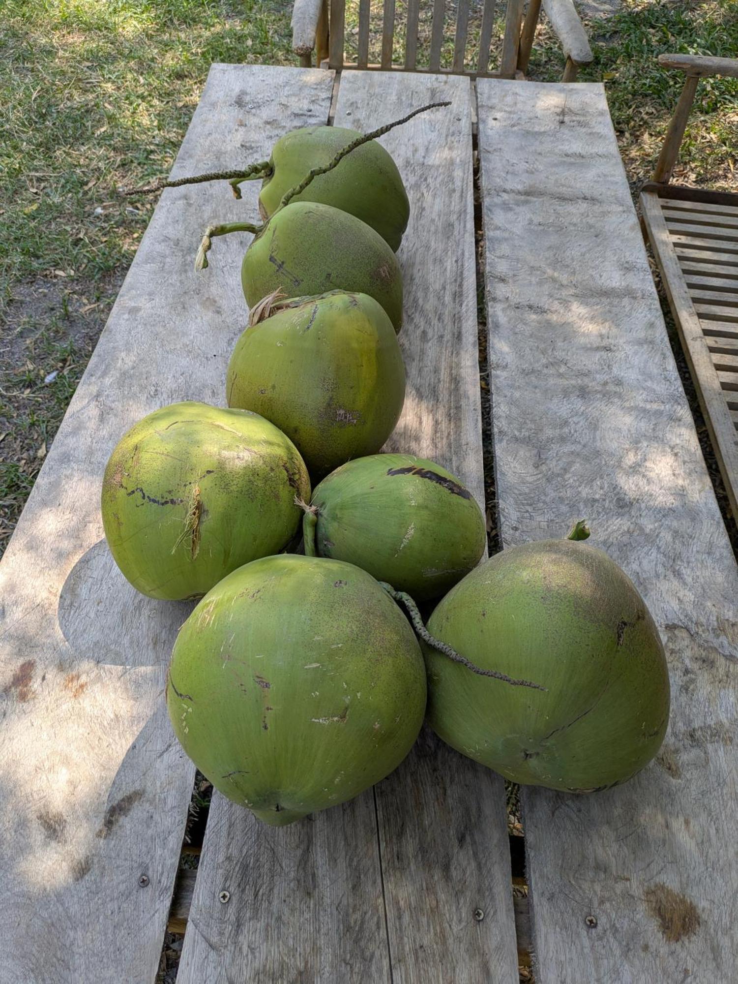 Coconut Lodge كامبوت المظهر الخارجي الصورة