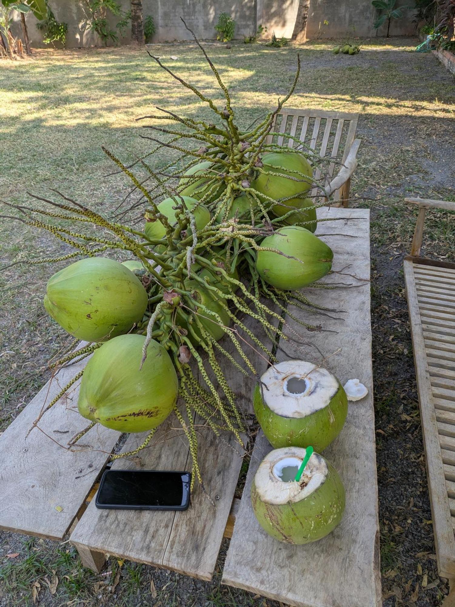 Coconut Lodge كامبوت المظهر الخارجي الصورة
