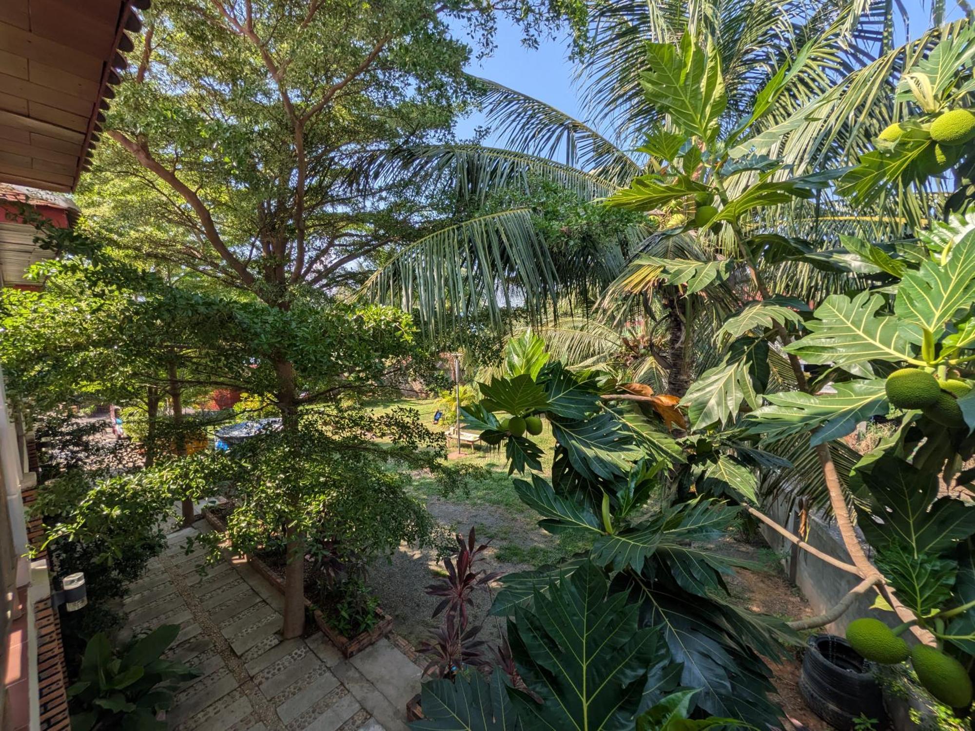 Coconut Lodge كامبوت المظهر الخارجي الصورة